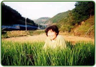 生産者の皆さん