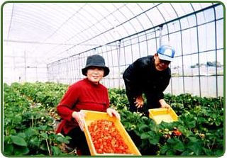 生産者の皆さん