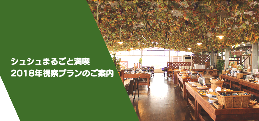視察プラン シュシュ